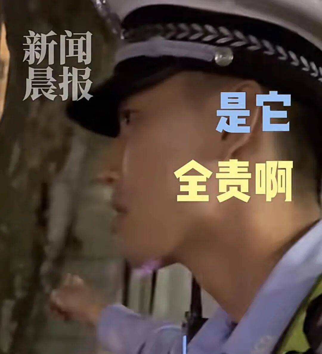 世界杯代理_“树全责世界杯代理！”上海一司机撞树喊冤：这棵树长太歪！交警一句话点醒众人
