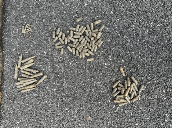 皇冠信用网在线注册
_男子钓到108发子弹以为是大鱼皇冠信用网在线注册
，警方：疑似为历史遗留弹药，已移交至相关部门处理