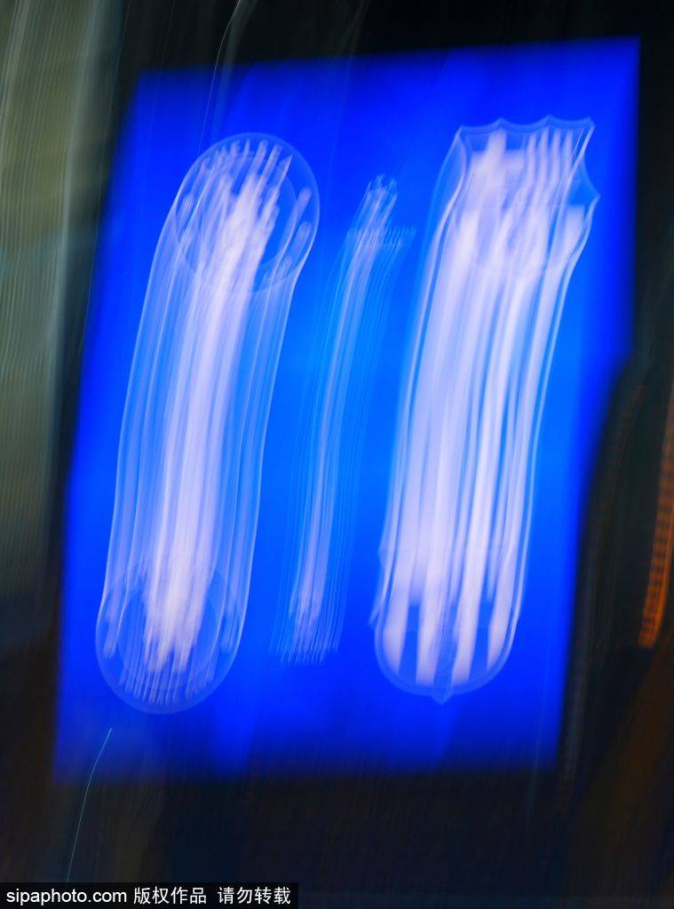 皇冠皇冠信用网开户
_红牌体质回来了？切尔西本赛季第7次吃红牌皇冠皇冠信用网开户
，近两场均有人染红