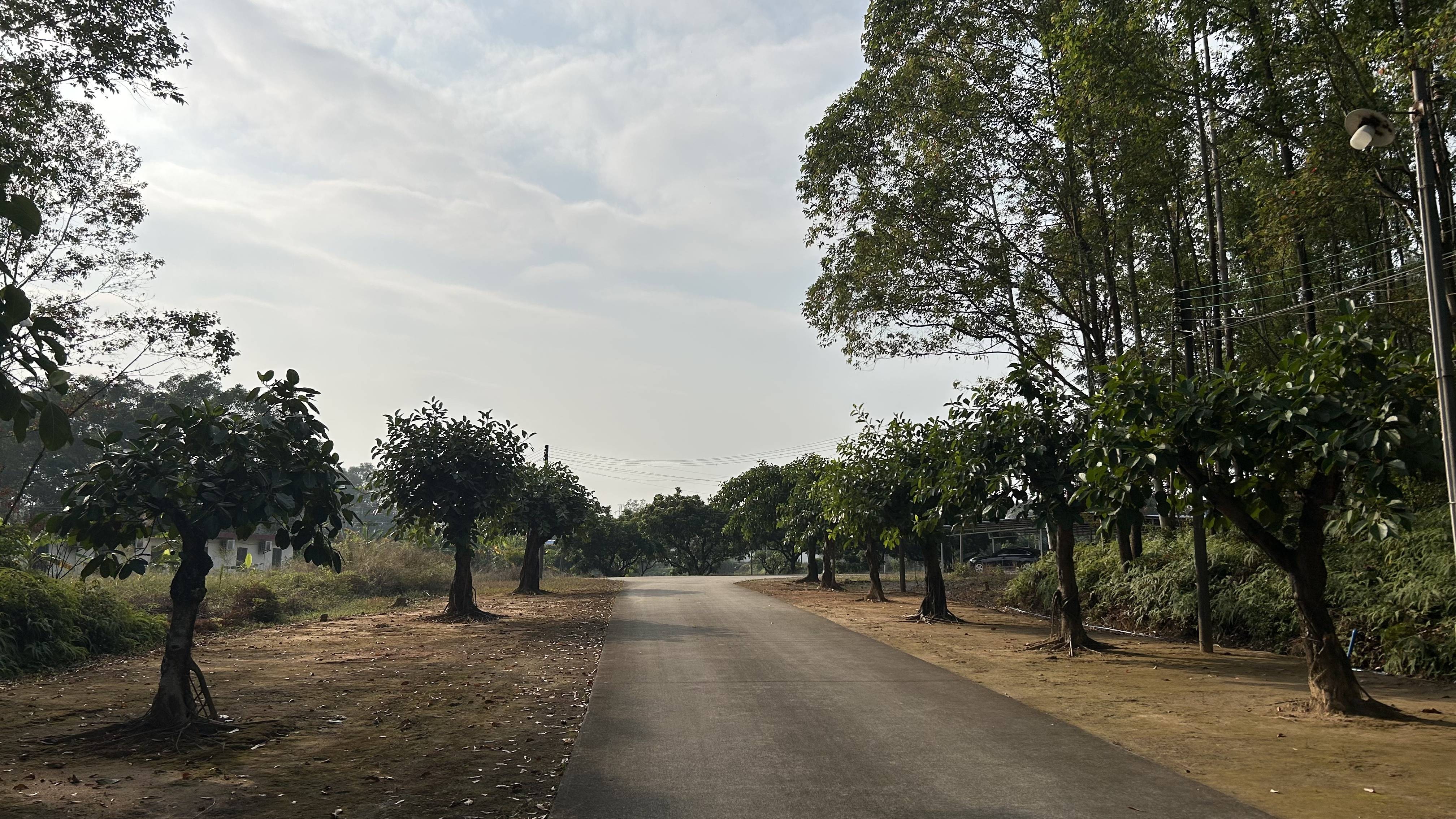 皇冠信用網出租代理
_有价无猴!实验猴价格暴涨皇冠信用網出租代理
,有猴场明年的猴都被订光,繁殖率已跟不上|调查