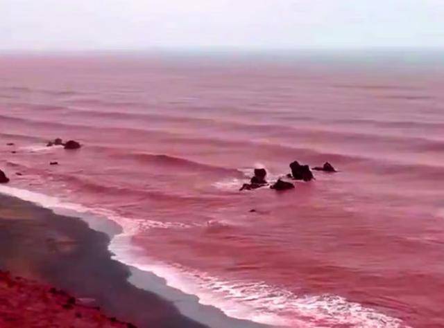 皇冠信用网会员账号
_罕见!伊朗霍尔木兹岛遭遇强降雨皇冠信用网会员账号
,部分海域变成“血色海洋”