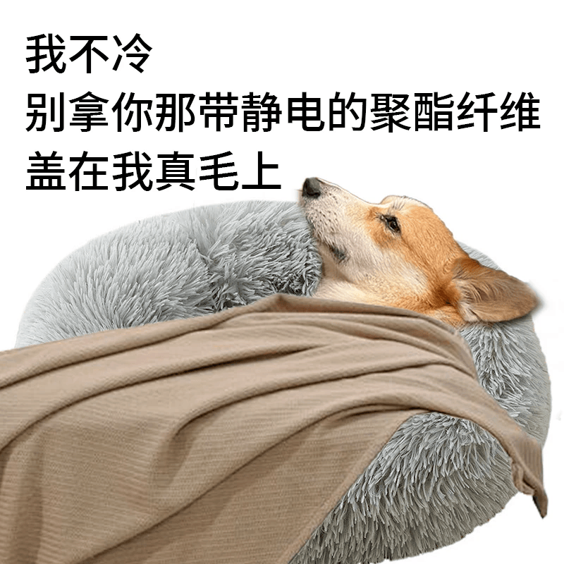 皇冠信用网怎么注册_别买那些防静电神器了皇冠信用网怎么注册，真正的克星只需要一面墙