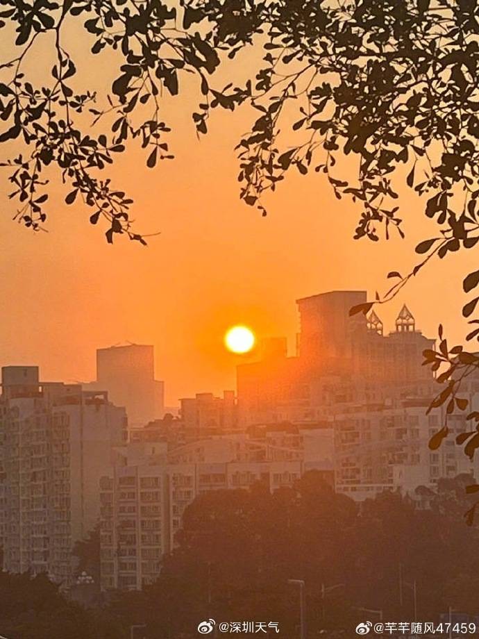 皇冠比分_最低9℃皇冠比分，深圳将迎过山车式大降温！今年第1号台风“洛鞍”已生成