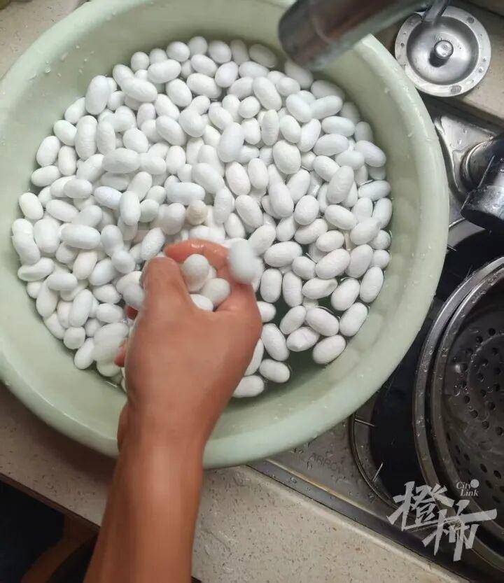 世界杯代理_“半夜醒来世界杯代理，老公一个人坐客厅剥茧！”一家三口养1.2万只蚕宝宝，耗时17天剥茧、煮茧、拉蚕丝兜，终于变成2床蚕丝被，儿子盖上10分钟入睡
